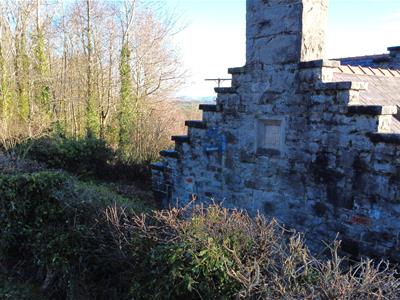 Picture 22